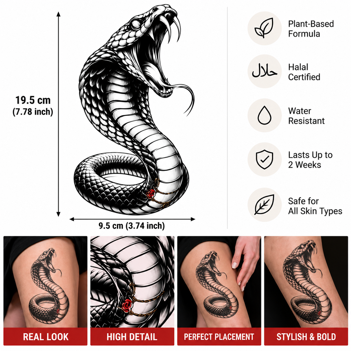 Coiled Cobra Semi-Permanent Tattoo – 7.78 × 3.74 Inch | Tats4u