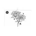 Floral Branch Semi-Permanent Tattoo – Delicate Botanical Design | Tats4u