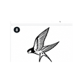 Swallow Bird Semi-Permanent Tattoo – Classic Black Ink Design | Tats4u
